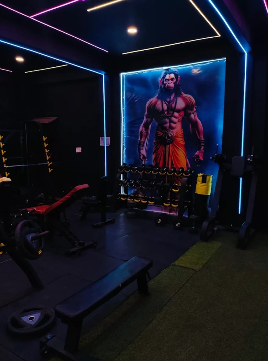 Iron Universe Gym — iconic Hanuman mural and dumbbell area